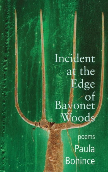 Incident at the Edge of Bayonet Woods - Paula Bohince