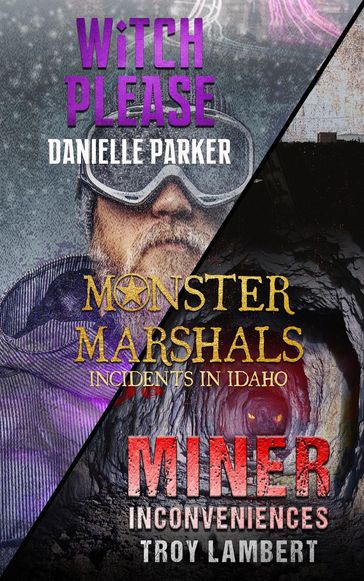 Incidents in Idaho - Danielle Parker - Troy Lambert