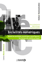 Incivilités numériques : Quand les pratiques numériques reconfigurent les formes de civilité au travail