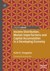 Income Distribution, Market Imperfections and Capital Accumulation in a Developing Economy