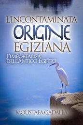 L Incontaminata Origine Egiziana: L Importanza Dell Antico Egitto