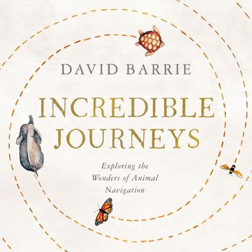 Incredible Journeys - David Barrie