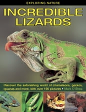 Incredible Lizards