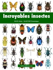 Incroyables insectes