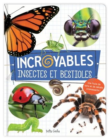 Incroyables insectes et bestioles - Claire chabot - Danielle Robichaud