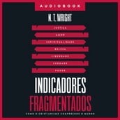 Indicadores Fragmentados