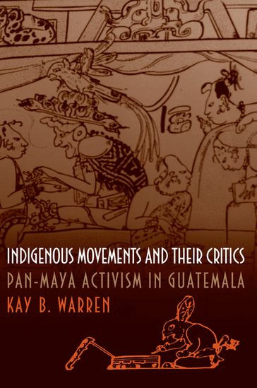 Indigenous Movements and Their Critics - Kay B. Warren
