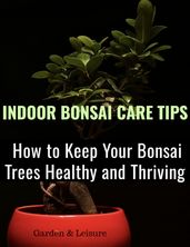 Indoor Bonsai Care Tips