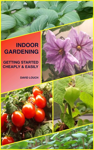 Indoor Gardening - David Louch