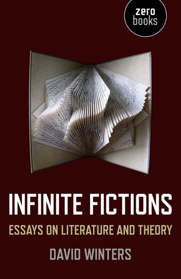 Infinite Fictions - David Winters