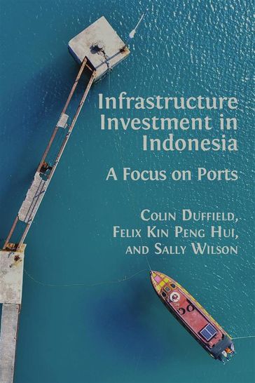 Infrastructure Investment in Indonesia - Colin Duffield - Felix Kin Peng Hui - Sally Wilson