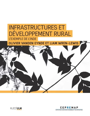 Infrastructures et développement rural - Olivier Vanden Eynde - Liam Wren-Lewis