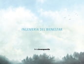 Ingeniería del bienestar