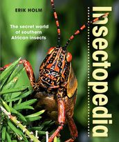 Insectopedia The secret world of southern African insects