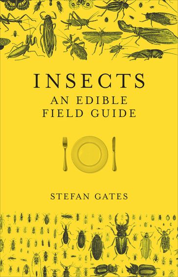 Insects - Stefan Gates