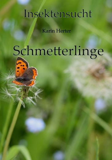 Insektensucht - Karin Herter