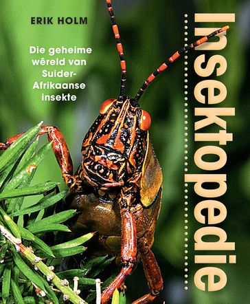 Insektopedie  Die geheime wêreld van Suider-Afrikaanse insekte - Erik Holm