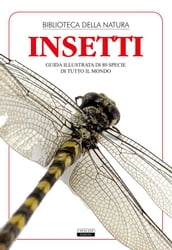 Insetti