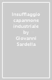 Insufflaggio capannone industriale