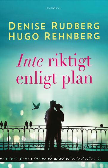 Inte riktigt enligt plan - Denise Rudberg - Hugo Rehnberg