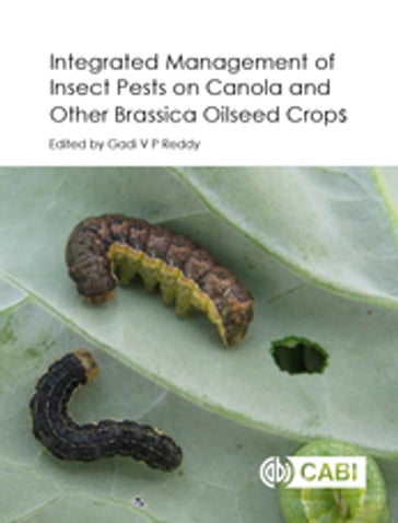 Integrated management of Insect Pests on Canola and other Brassica Oilseed Crops - Harit K Bal - Ronald E Batallas - Tulsi Bhardwaj - James D Blande - Dhana Raj Boina - G David Buntin - Randall Brandt - Hector Cárcamo - Surendra Dara - Tim J Dumonceaux - Robert H Elliott - Maya Evenden - Yaghoub Fathipour - Kevin D Floate - John Gavloski - Kristopher L Giles - Larry Grenkow - Parwinder Grewal - Rebecca H Hallett - Vincent A Hervet - Sari J. Himanen - Heikki M.T. Hokkanen - Jarmo K Holopainen - Prashant Jha - Peter Mason - Janet J Knodel - Tao Li - Sarina Macfadyen - Mohammad Ali Mirhosseini - Christine Noronha - Chrystel Olivier - Francisco Rubén Badenes-Pérez - S. Jesu Rajan - Tom Royer - Muhammad Sarwar - Barbara Sharanowski - Govinda Shrestha - Juliana Soroka - Rajagopalbabu Srinivasan - Raj Kumar Thakur - Sally Vail - Leyun Wang - R W M Udari M Wanigasekara - Chaminda De Silva Weeraddana - Tyler J Wist - Zi-Hua Zhao - Dr Matthew P Hill - Dr Ingeborg Menzler-Hokkanen