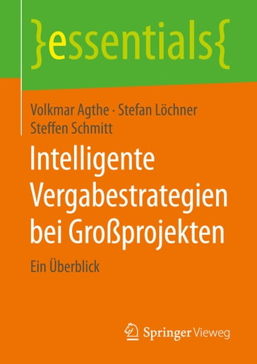 Intelligente Vergabestrategien bei Großprojekten - Volkmar Agthe - Stefan Lochner - Steffen Schmitt