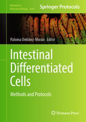 Intestinal Differentiated Cells