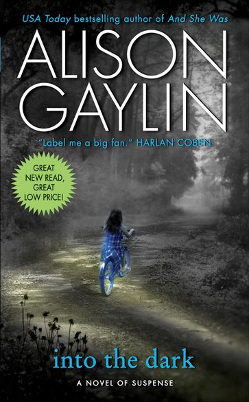 Into the Dark - Alison Gaylin