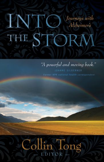 Into the Storm - Collin Tong