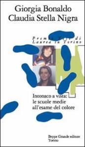 Intonaco a vista: le scuole medie all esame del colore