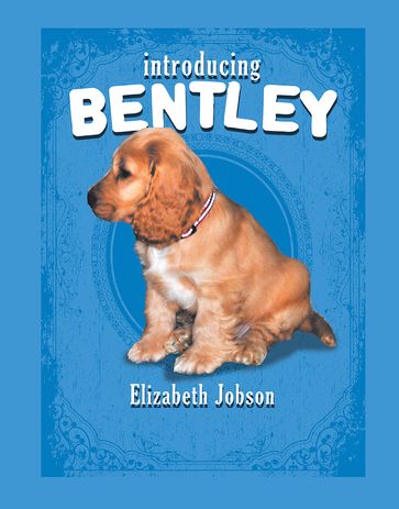 Introducing Bentley - Elizabeth Jobson