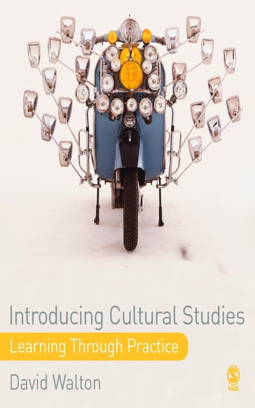 Introducing Cultural Studies - David Walton