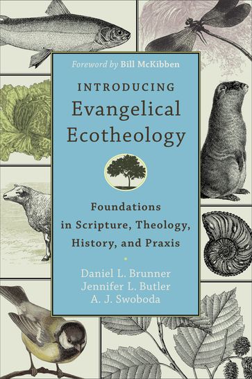 Introducing Evangelical Ecotheology - A. J. Swoboda - Daniel L. Brunner - Jennifer L. Butler