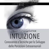 Intuizione