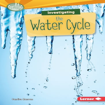 Investigating the Water Cycle - Candice Ransom