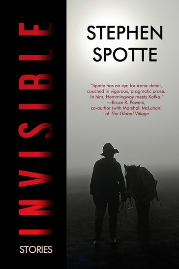 Invisible: Stories - Stephen Spotte