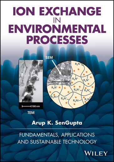 Ion Exchange in Environmental Processes - Arup K. SenGupta