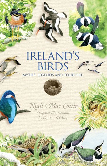 Ireland's Birds - Niall Mac Coitir