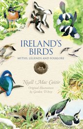 Ireland s Birds