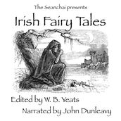 Irish Fairy Tales