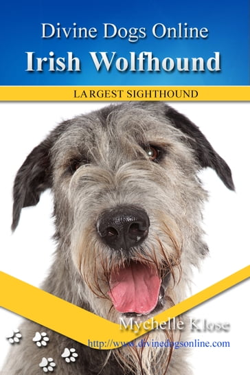Irish Wolfhound - Mychelle Klose