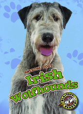 Irish Wolfhounds