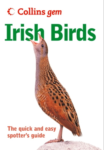 Irish birds (Collins Gem) - David Cabot