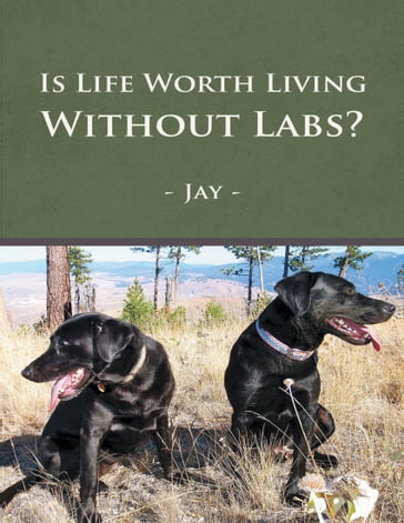 Is Life Worth Living Without Labs? - Jay Z