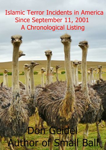 Islamic Terror Incidents in America Since September 11, 2001: A Chronological Listing - Don Geidel