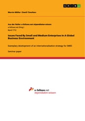 Issues Faced By Small and Medium Enterprises In A Global Business Environment