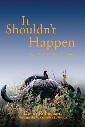 It Shouldn't Happen - Kevin Robertson