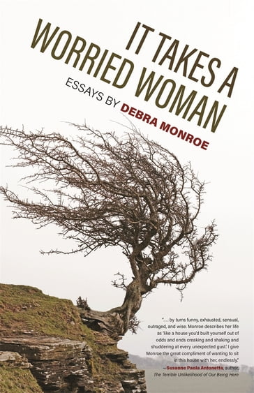 It Takes a Worried Woman - Debra Monroe