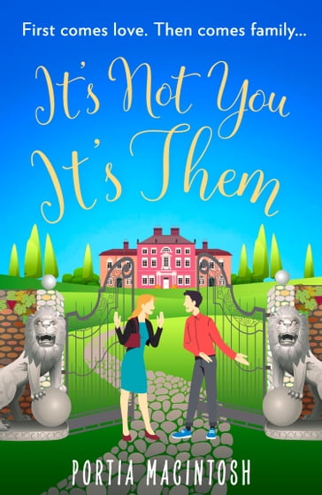 It's Not You, It's Them: A hilarious and laugh out loud romantic comedy - Portia MacIntosh