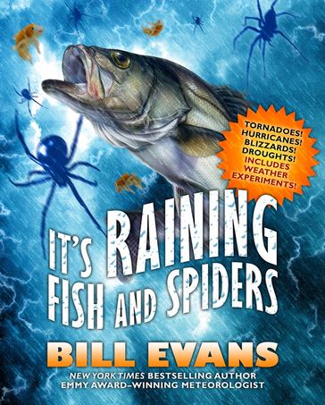 It's Raining Fish and Spiders - Bill Evans